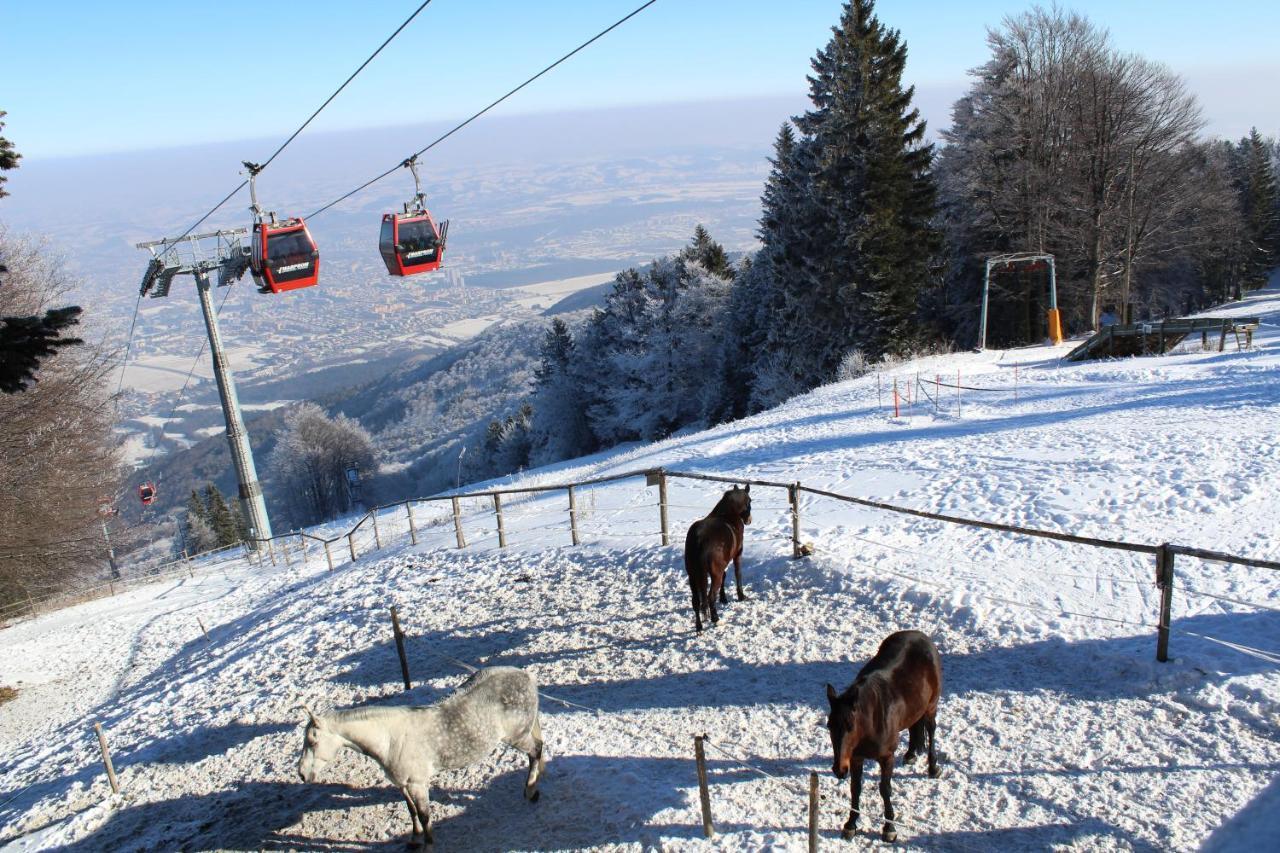 Pohorje Village Wellbeing Resort - Family Apartments Bolfenk Hočko Pohorje Buitenkant foto